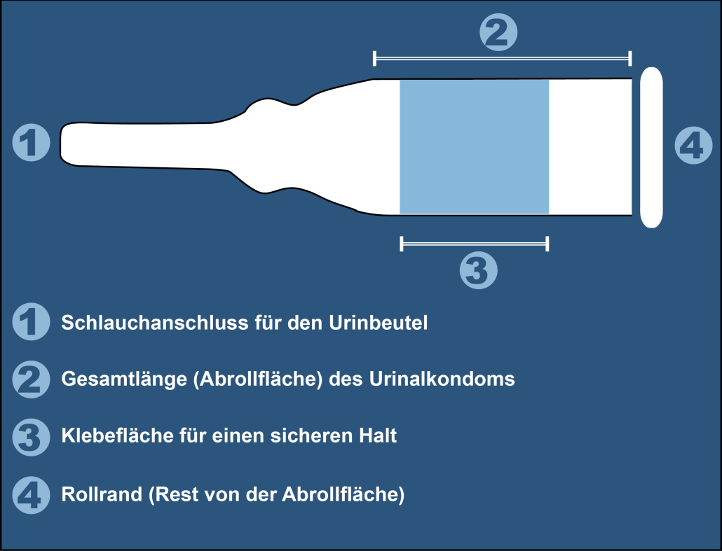 kondomurinal-groesse-ermitteln